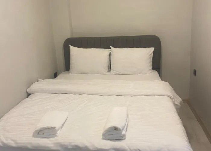 Historic Apartamento Estambul